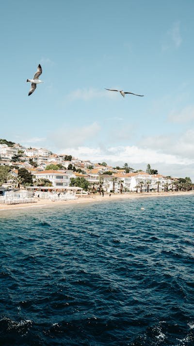 Waterfront rentals in saint barthélemy: your dream escape